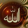 Profilbild von Tariq Ahmad