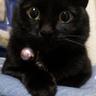 ルゥ's profile picture
