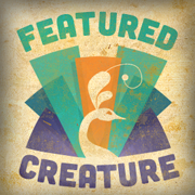ftcreature's profile picture