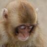Фото профиля Dave Thornley