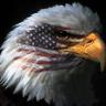 David Merrill's profile picture