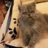 Profilbild von Mimi