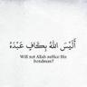 صدى🌹الجنوب 的头像