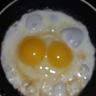 patrick mcgill's profile picture
