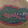 Profilbild von Gators #1