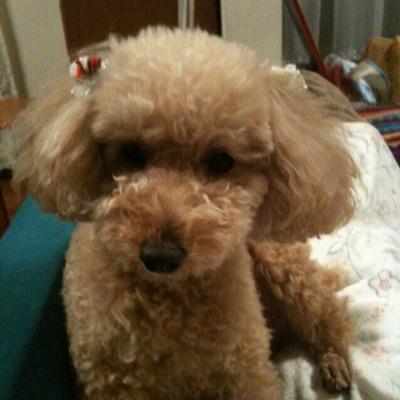 kei_apple's profile picture