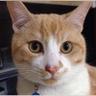 mix's profile picture