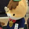 れんこん(病気療養からの復職準備中)'s profile picture