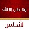 amine nassar's profile picture