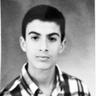 صولي صافي's profile picture