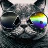 Profilbild von Quinn67
