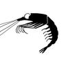 Profilbild von Krill noir