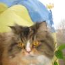 Victoria's profile picture
