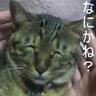 Фото профиля 猫神
