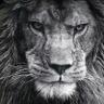 Apie B76's profile picture