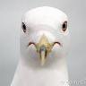 Donna L. Buchan's profile picture