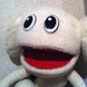 たいぽん's profile picture