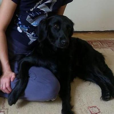 ivanaedu's profile picture