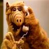 Alf profil fotoğrafı