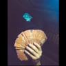 Фото профиля Take Care