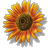 Profilbild von Robert