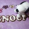Profilbild von snoopy peanuts