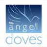 Angel Doves's profile picture