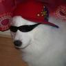 Juice Campbell's profile picture