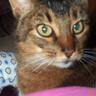 Profilbild von winecat I SUPPORT WOMEN’S RIGHTS