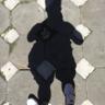 godi marzio's profile picture
