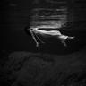 Фото профиля Neil Tavares