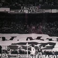 tarzen1902's profile picture