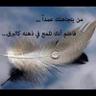 Profilbild von مشــ,ٰـ؏ــ,ٰـل التــ,ٰـوم,ٰ