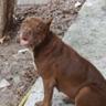 Nascimento 的头像