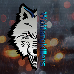 Wolfangkillers's profile picture