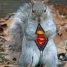 Debbi Purifoy's profile picture