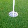 Фото профиля Inver Wood Turf