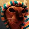 Andrey Prime's profile picture