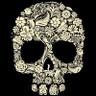 Alexander Pronin's profile picture