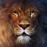 chaminda priyadarshana's profile picture