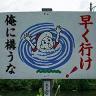 クレハ。 的头像