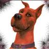 Scooby Edwards's profile picture