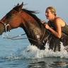 Фото профиля back on the horse