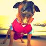 Sonny Honey Hammer ⚒🇺🇦's profile picture