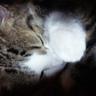 kissy profil fotoğrafı