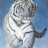 Un_leopardo_de_las_nieves's profile picture