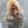Musseque Fonseca's profile picture