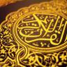 ahmed's profile picture
