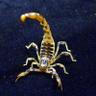 Фото профиля the ghost skorpion
