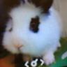 Profilbild von 토끼엄마
